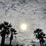 Île de Ré 15/08/2021