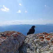 Le Sappey-en-Chartreuse 17/08/2021
