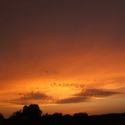 Saint-Plaisir 12/07/2010