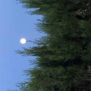 Uzay-le-Venon 22/08/2021