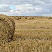 Quatremare 22/08/2021