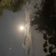 Le Petit Marnanton 23/08/2021