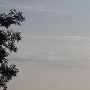 Montbrison 26/08/2021