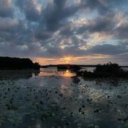 Étang de Léon (Landes) 27/08/2021
