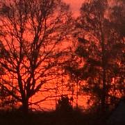 La Ferté-Frênel 02/09/2021