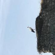 Le Château de la Rivière 08/09/2021