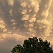 Mensignac 08/09/2021