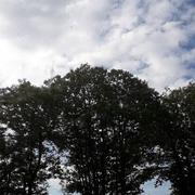 Croassant Gall 12/09/2021