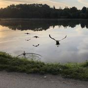 Ars-sur-Moselle 15/09/2021