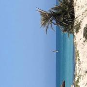 Île de Djerba 19/09/2021