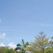 Frere Town 19/09/2021