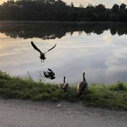 Ars-sur-Moselle 22/09/2021