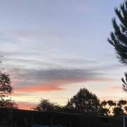 Le Petit Marnanton 28/09/2021