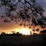 Golf de la côte des isles 30/09/2021