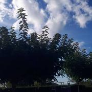 Saint-Colomb-de-Lauzun 06/10/2021