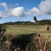 Saint-Sornin 06/10/2021