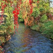 Houetteville 10/10/2021