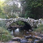 Saint-Laurent-de-Muret 13/10/2021