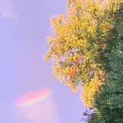 Montiéramey 16/10/2021