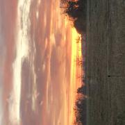 Créances 17/10/2021