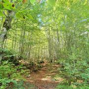 Sixt-Fer-à-Cheval 19/10/2021