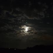 Pelleport 20/10/2021