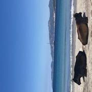 Plage d'Argent 21/10/2021