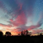 Mas-Blanc-des-Alpilles 21/10/2021