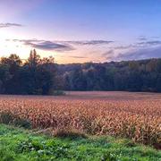 Boissy-le-Châtel 25/10/2021