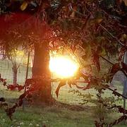 Rignovelle 27/10/2021