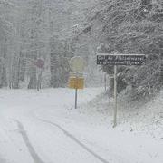 Schnepfenried 04/11/2021