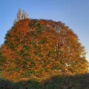 Les Écrennes 04/11/2021