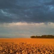 Balignicourt 21/07/2010