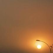 Fresnay-sur-Sarthe 10/11/2021