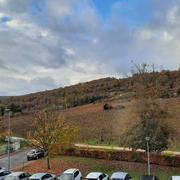 Nuits-Saint-Georges 14/11/2021