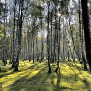 Espace Rambouillet 16/11/2021