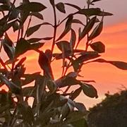 Saint-Tropez 22/11/2021