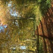 Béthisy-Saint-Martin 23/11/2021