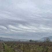 Saint-Hippolyte-du-Fort 25/11/2021