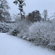 Saint-Vaury 28/11/2021