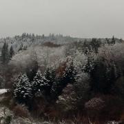 Sainte-Feyre 28/11/2021