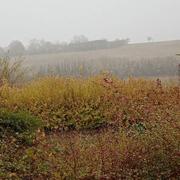 Mortagne-au-Perche 28/11/2021