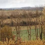 Mortagne-au-Perche 28/11/2021