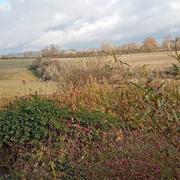 Mortagne-au-Perche 29/11/2021