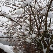 Auxelles-Haut 01/12/2021