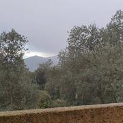 Saint-André-de-Tallano 03/12/2021