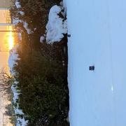 Coublevie 05/12/2021