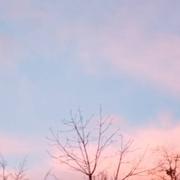 Mortagne-au-Perche 06/12/2021