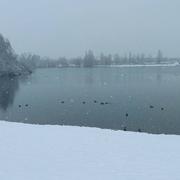 Reiningue 10/12/2021