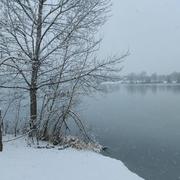 Reiningue 10/12/2021